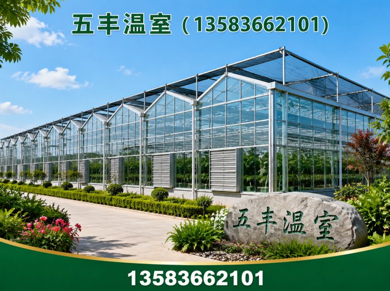 奎文区大棚建设展示图